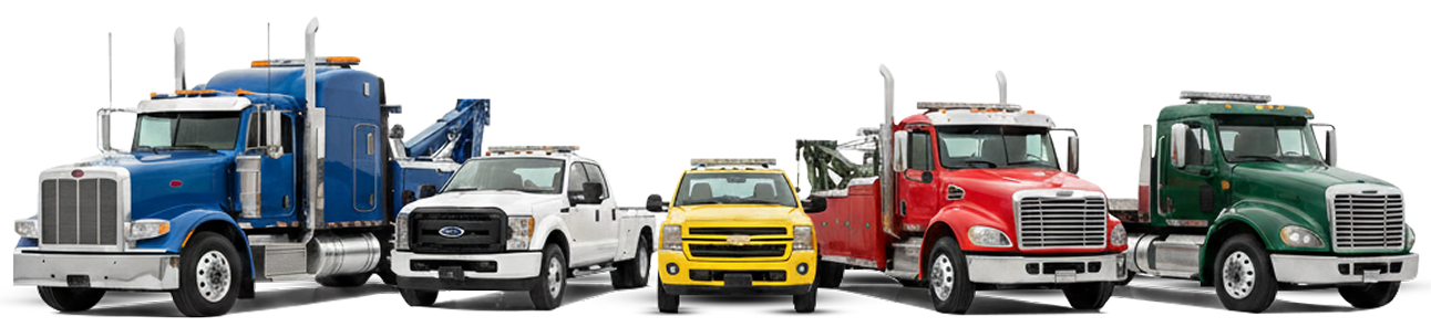 Gemini_Generated_Image_eej592eej592eej5 copy 2